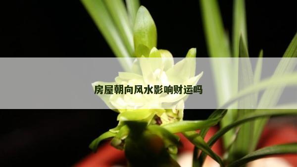 房屋朝向风水影响财运吗