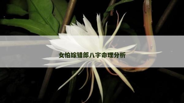 女怕嫁错郎八字命理分析