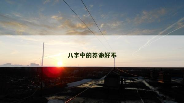 八字中的养命好不