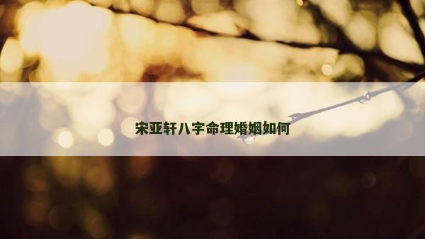 宋亚轩八字命理婚姻如何