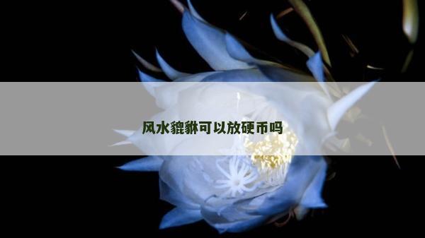 风水貔貅可以放硬币吗
