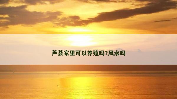 芦荟家里可以养殖吗?风水吗